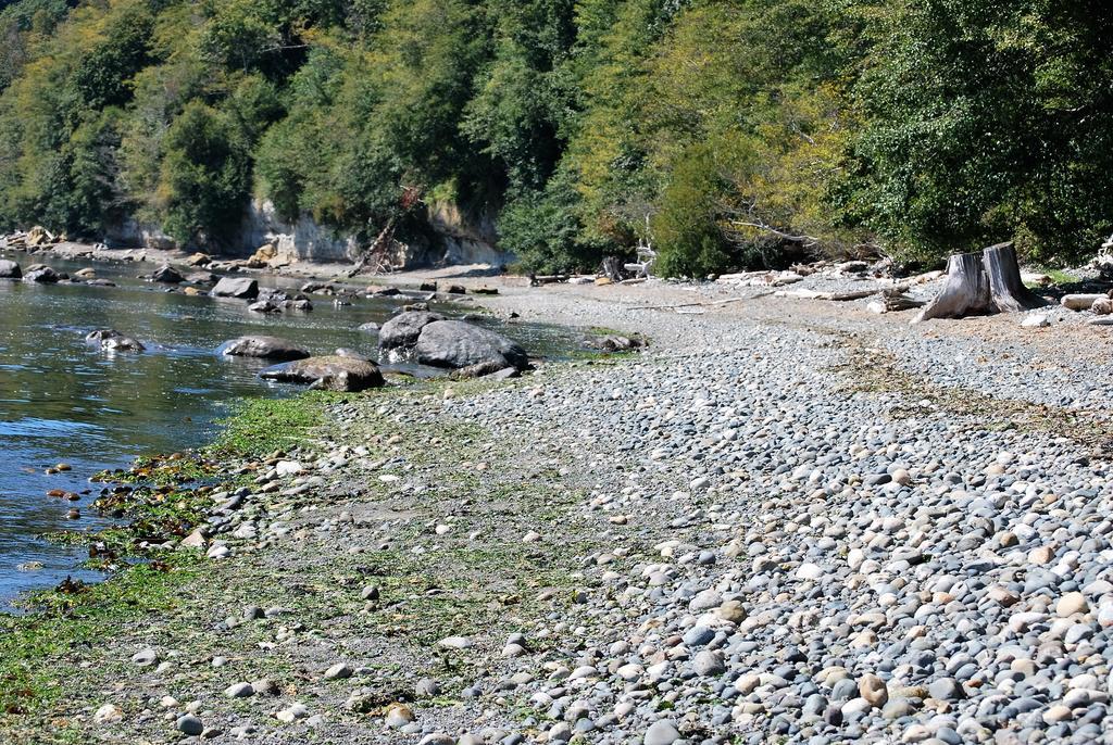 Ocean Wilderness Inn Shirley Exterior foto